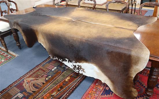 An antelope skin rug L.230cm